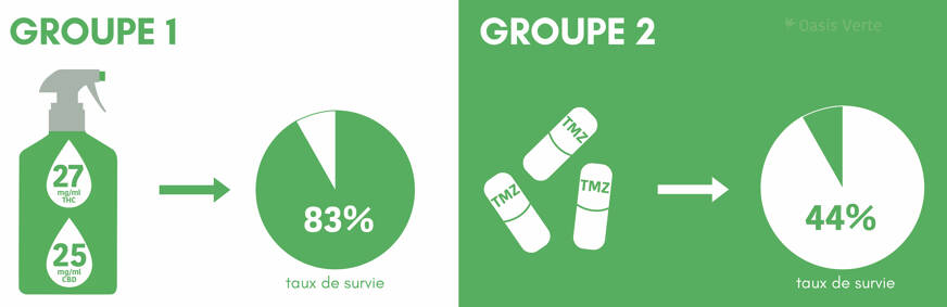 resultats etude cbd contre cancer